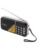 портативный радиоприемник с аккумулятором MAX МR-321 черный/серебристый