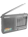 всеволновый радиоприемник высокого класса Degen DE1103 DSP titanium
