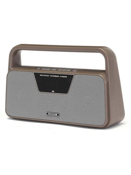 радиоприемник с пультом ДУ и MP3 плеером Tecsun A9