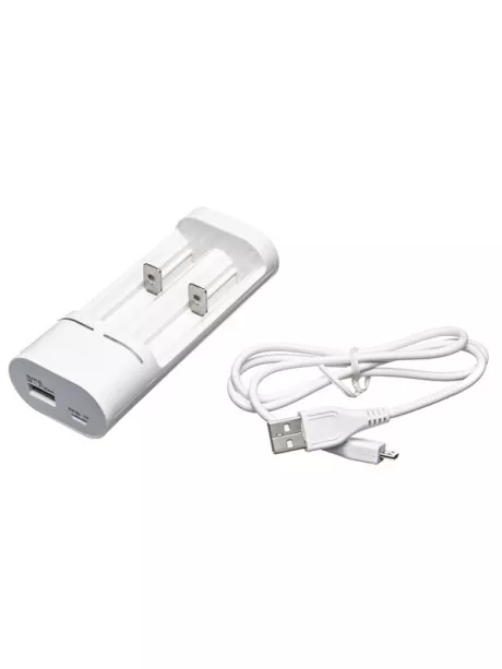 зарядное устройство Robiton Smart 2 