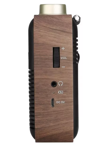 переносной ретро радиоприемник Retekess TR614 