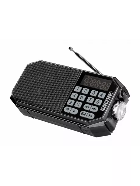 Портативный FM радиоприемник с блютуз Retekess TR610 