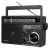 Переносной радиоприемник с MP3 плеером Retekess TR618 