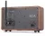 FM радиоприемник и bluetooth динамик Tecsun 2024 WOOD (export version) brown